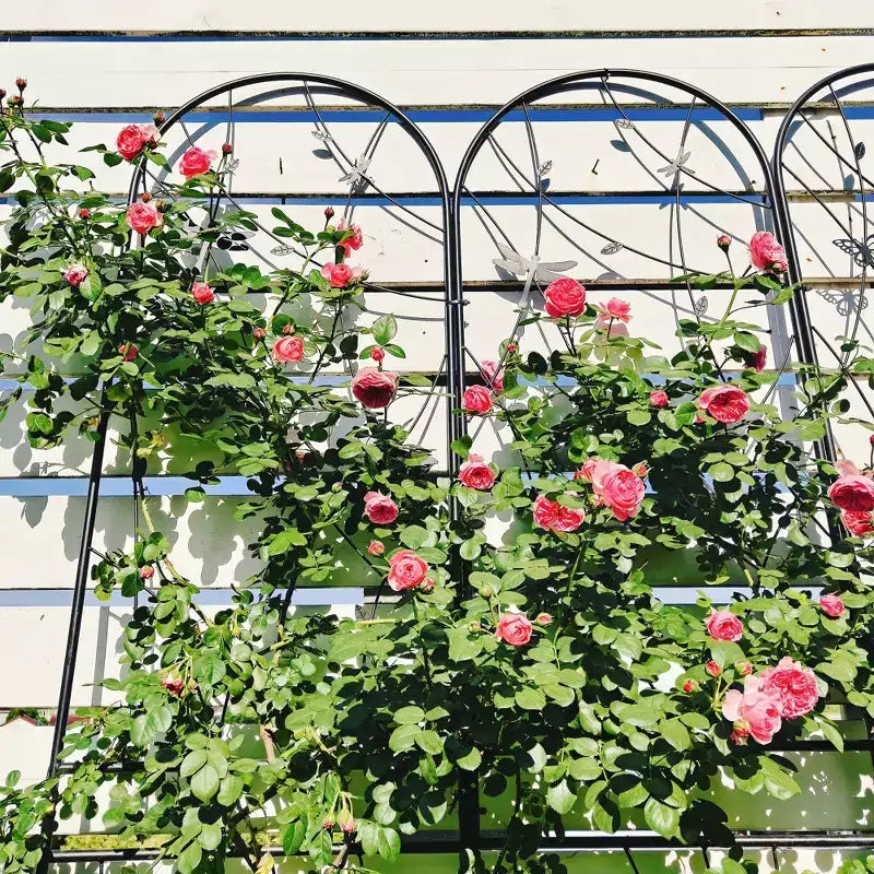Paquete de 2 celosías de metal para jardín de 71 x 19.7 pulgadas - Inoxidables, con decoración de libélula negra, para plantas trepadoras y flores de exterior