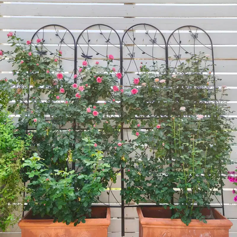 Paquete de 2 celosías de metal para jardín de 71 x 19.7 pulgadas - Inoxidables, con decoración de libélula negra, para plantas trepadoras y flores de exterior