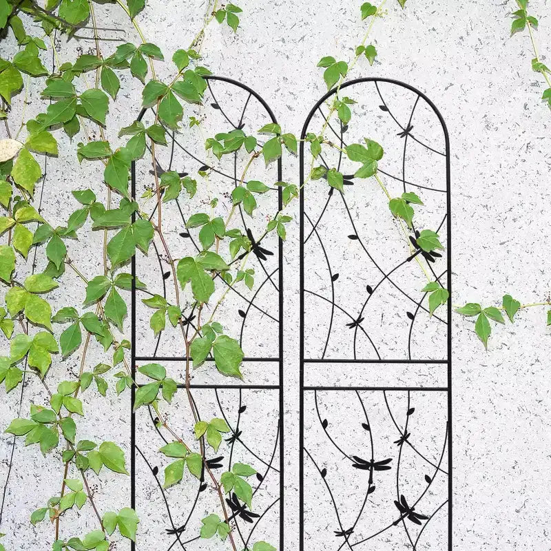 Paquete de 2 celosías de metal para jardín de 71 x 19.7 pulgadas - Inoxidables, con decoración de libélula negra, para plantas trepadoras y flores de exterior