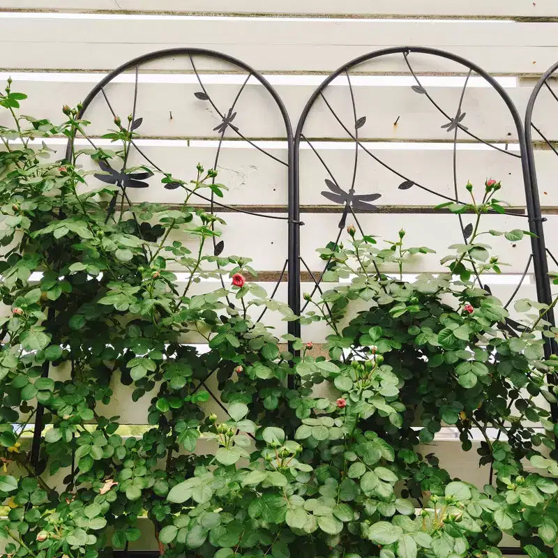 Paquete de 2 celosías de metal para jardín de 71 x 19.7 pulgadas - Inoxidables, con decoración de libélula negra, para plantas trepadoras y flores de exterior