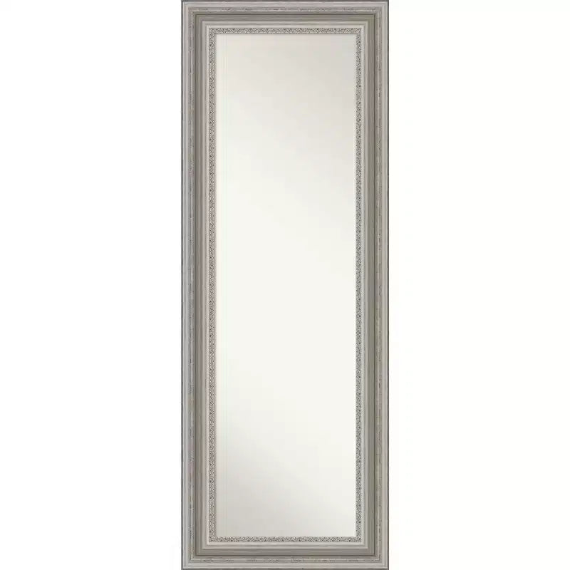 20 x 54 Parlor Framed Full Length on the Door Mirror - Amanti Art
