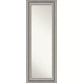 20 x 54 Parlor Framed Full Length on the Door Mirror - Amanti Art