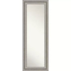 20 x 54 Parlor Framed Full Length on the Door Mirror - Amanti Art