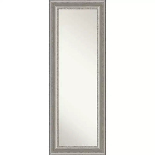 20 x 54 Parlor Framed Full Length on the Door Mirror - Amanti Art